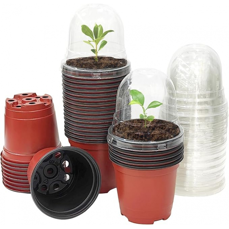 Plant Nursery Pot with Humidit - Baby Nursery Plants 评论和价格